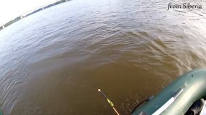 Первая рыбалка на кольцо. Испытываю снасть.
