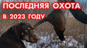 ПОСЛЕДНЯЯ ОХОТА В 2023 ГОДУ