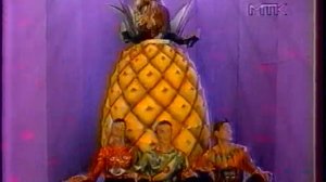 Наталья Ветлицкая, Плейбой, 1994
