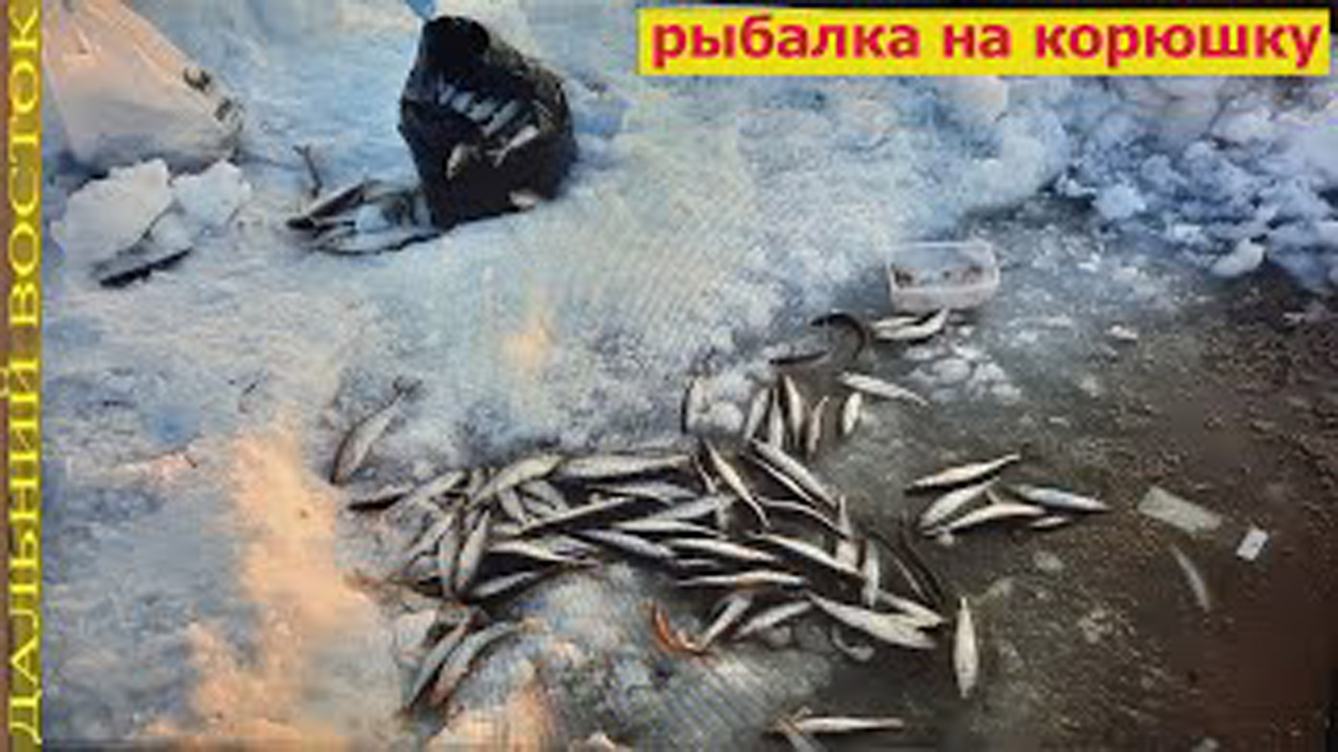 Рыбалка на корюшку. Джаорэ. Пятая часть.avi