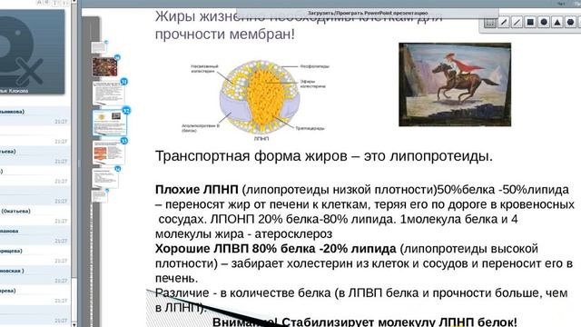 Наталья Клокова "  Белки - основа жизни" смотреть онлайн