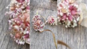 Обновление Чеснока Семенами // Как Вырастить Супер Элиту Чеснока // Август 2022 г // Часть-1 //С.Х.