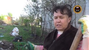 Хмель на садовом участке заполонил всё! Каждый год избавляемся, опять растет.
