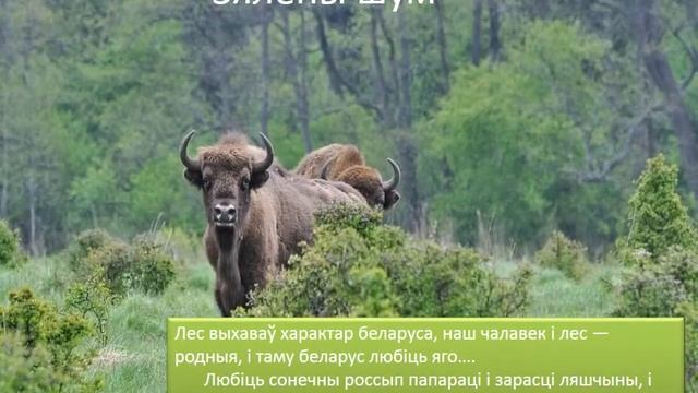 Владимир Короткевич «Земля под белыми крыльями»