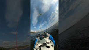 Ох уж эти повороты на гидрофойле. Учить не переучить, тренеить не перетренить26 апреля 2020 г.