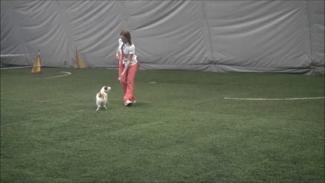 15 Окорочкова Ася дрт Lovely orange always yours angel Открытый фристайл смотреть онлайн