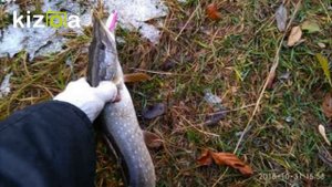 копия воблера  Rapala X-Rap