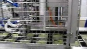 Фасовка капусты и салатов: фасовка квашеной капусты