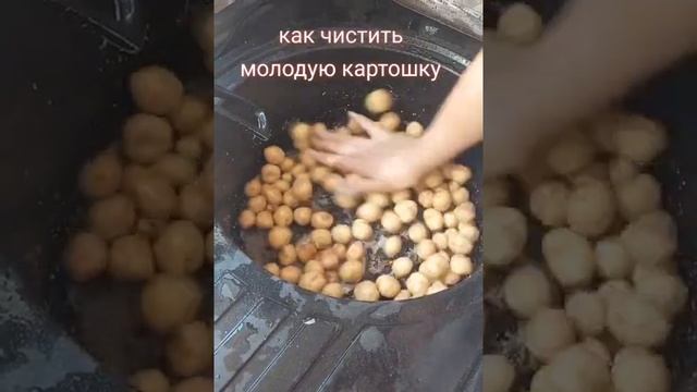 Как быстро почистить молодую картошку