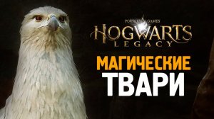 ФАНТАСТИЧЕСКИЕ ТВАРИ - HOGWARTS LEGACY #8