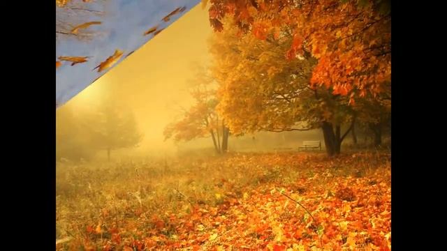 Осенняя зарисовка "Листопад" смотреть онлайн