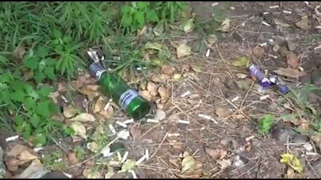 МЭР КРАСНОЯРСКА ПОДАРИЛ ЧИНОВНИКАМ МЁТЛЫ, А КОММУНАЛЬЩИКИ СВОИМИ РУКАМИ СДЕЛАЛИ ПЫЛЕСОС. смотреть онлайн