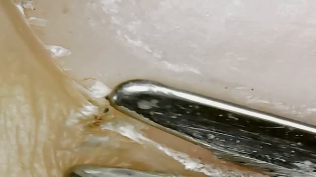 Cuticle removal under the microscope (удаление кутикулы под микроскопом) смотреть онлайн