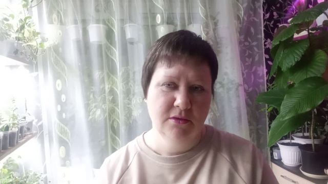 Знакомство со мной. 19 ноября смотреть онлайн