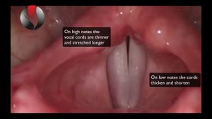Vocal laryngoscopy - Ларингоскопия