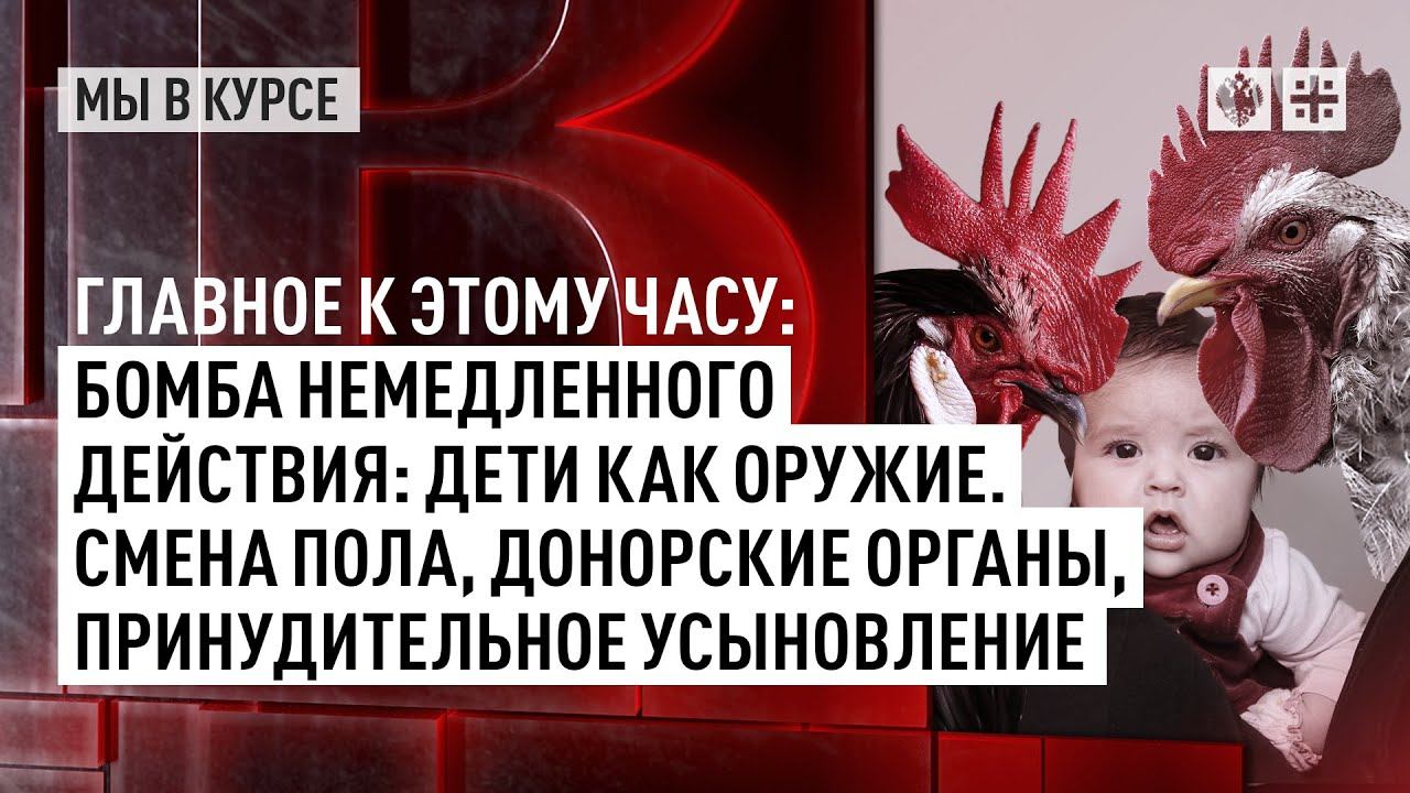 Западные политики уходят в запой, русская опека жестит "на сухую" - мы в курсе происходящего