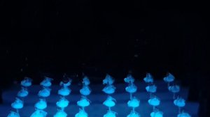 Баядерка. Тени. Большой театр. 22.10.2023