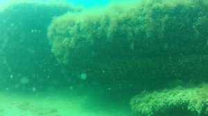 Подводный мир Каспийского моря
