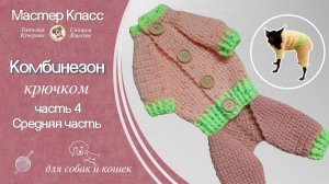 Как связать Комбинезон для собаки и кошки крючком, часть 3