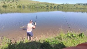 Рыбалка на толстолобика. Лето 2024. #fishing #рыбалка #лето