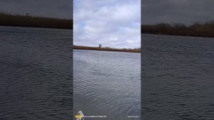 Hidea 5,лодка RiverBoats 340 скорость примерно 25км