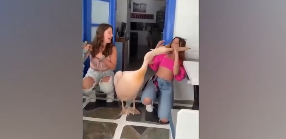 Смешные приколы Февраль 2023 #57 смотреть онлайн