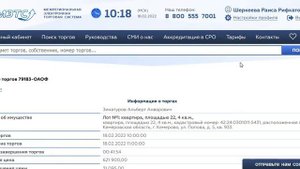 Торги по банкротству от А до Я, на ЭТП МЭТС. Реальное участие в открытом аукционе на повышение