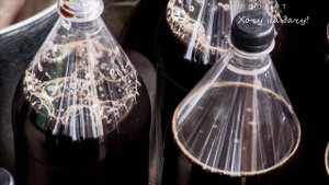 Гуминовые удобрения из торфа