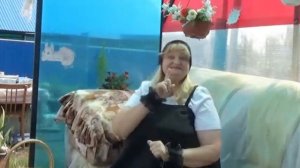 Чипполино зелёный лук на зиму=))