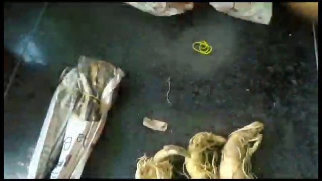 unboxing of online adenium plants purchase..... cheapest adenium plants online buy #plantsera