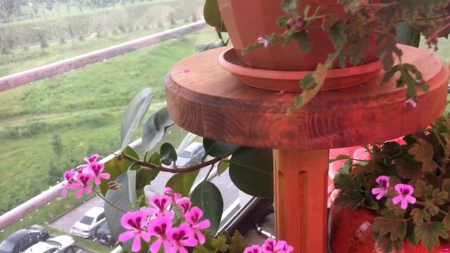 Fair Ellen ir Orange fizz смотреть онлайн