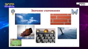8-класс | Физика | Жидкости. Капиллярные явления
