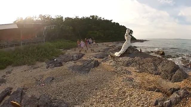 Планета обезьян- остров Таиланд