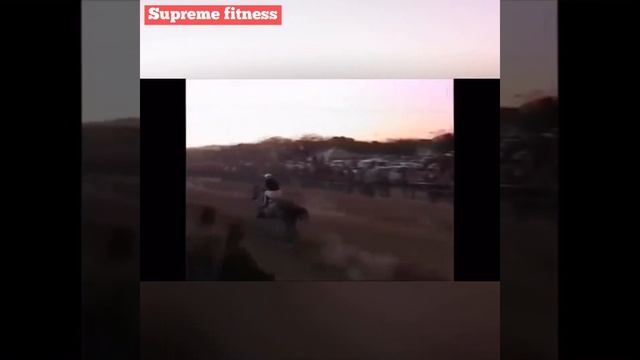 Race Horses vs Greyhound Dogs смотреть онлайн