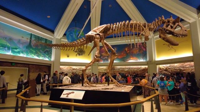 Having A WILD Day At Disney's Animal Kingdom смотреть онлайн