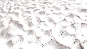 ПЕРВЫЙ ТРОФЕЙ. ОХОТА НА КАМЧАТСКОГО СНЕЖНОГО БАРАНА