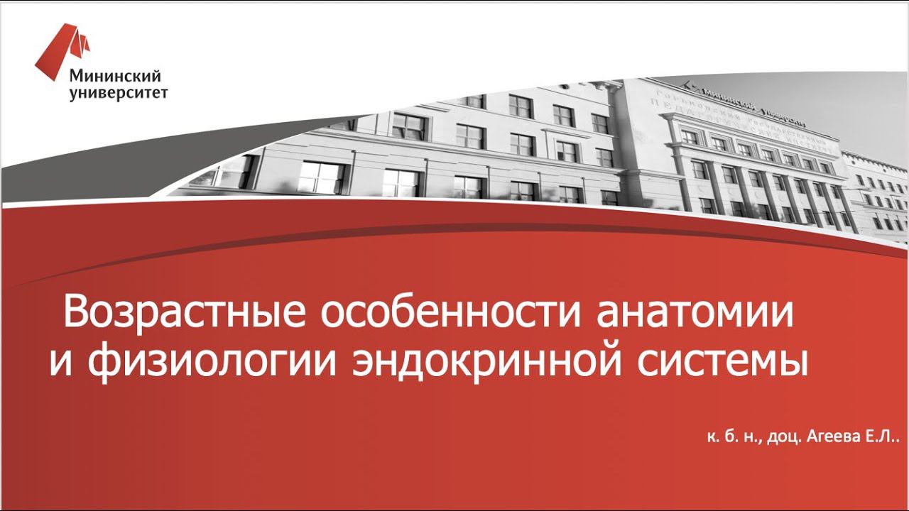 Возрастные особенности анатомии и физиологии эндокринной системы