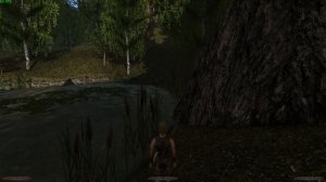 ХОРИНИС: Все Ягоды Гоблина и Драконьи Корни | Готика2  Gothic2[R2+AB]