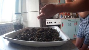 ФЕРМЕНТАЦИЯ ИВАН-ЧАЯ. КРУЧУ ЧАЙ НА МЯСОРУБКЕ И СУШУ В ДУХОВКЕ.