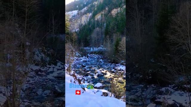 Blausee Naturalpark Озеро в Швейцарії #travel #views #mountains  #video #switzerland #trend #river