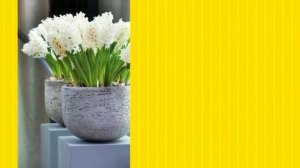 поздравление хорошей женщине в прозе