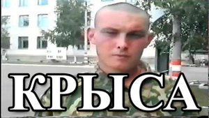 КРЫСА И ВОРОВСТВО В АРМИИ