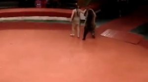 Медведь напал на  дрессировщицу! the bear attacked the girl the trainer