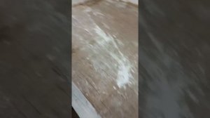 Обзор курятника в гараже. Подготовка к зимовке- кур!