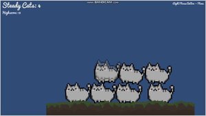 котик