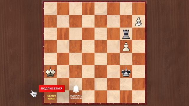 Слон-ювелир. Шахматный этюд Нейштадтля, 1897 год. Издание "Strategy". Шахматная композиция. Шахматы