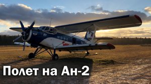 Ан-2 - осмотр и полет в VIP-салоне