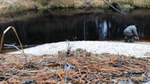 Север , Рыбалка на спиннинг , красивые окуни )