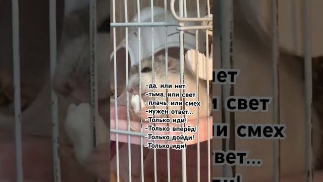 Спасибо за 300 подписчиков! 27 января 2024 год