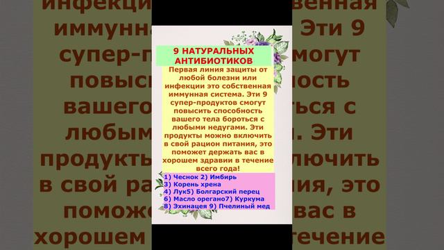 9 натуральных антибиотиков